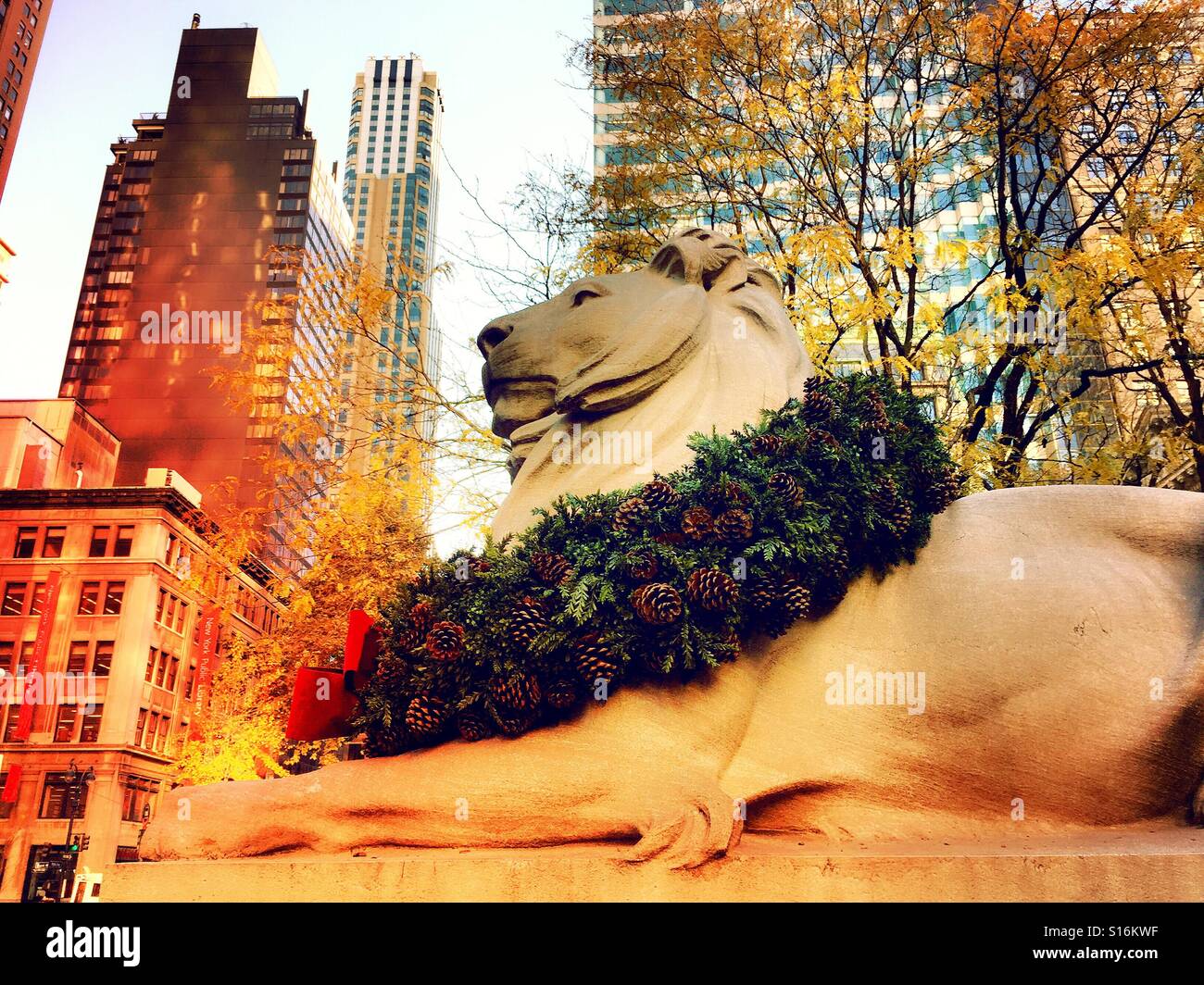 The majestic lion statue in front of the New York public library is decorated with a festive holiday wreath, NYC. - Smartphone Captured Stock Image