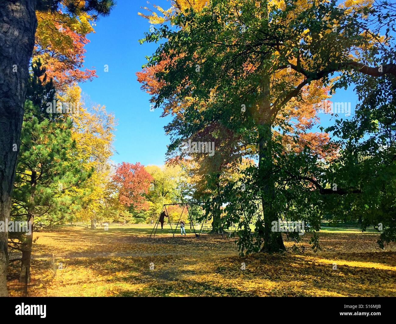 Fall foliage in Central Park, NYC Stock Photo