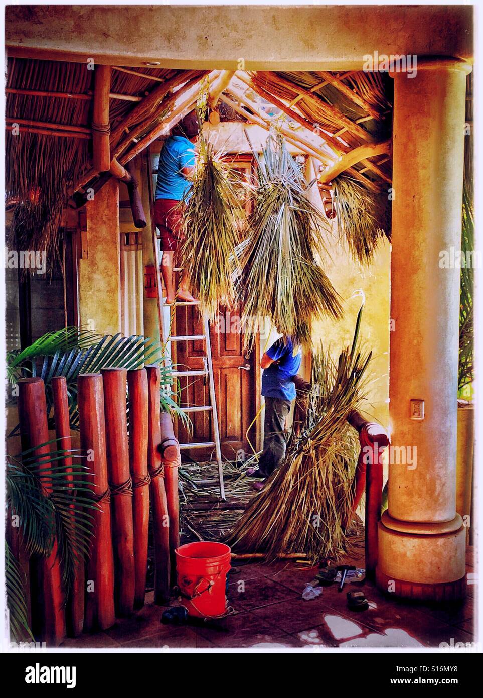 Piles of Palm fronds surround two men who are busy repairing a palapa roof on a tropical home in Nayarit, Mexico. Stock Photo