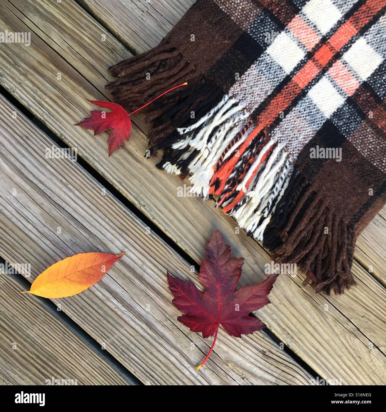 Wool blanket and Leaves Stock Photo