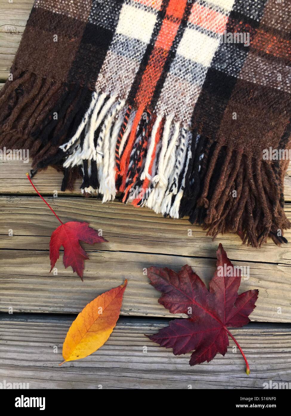 Wool Blanket with Leaves on Wooden Background - Smartphone Captured Stock Image
