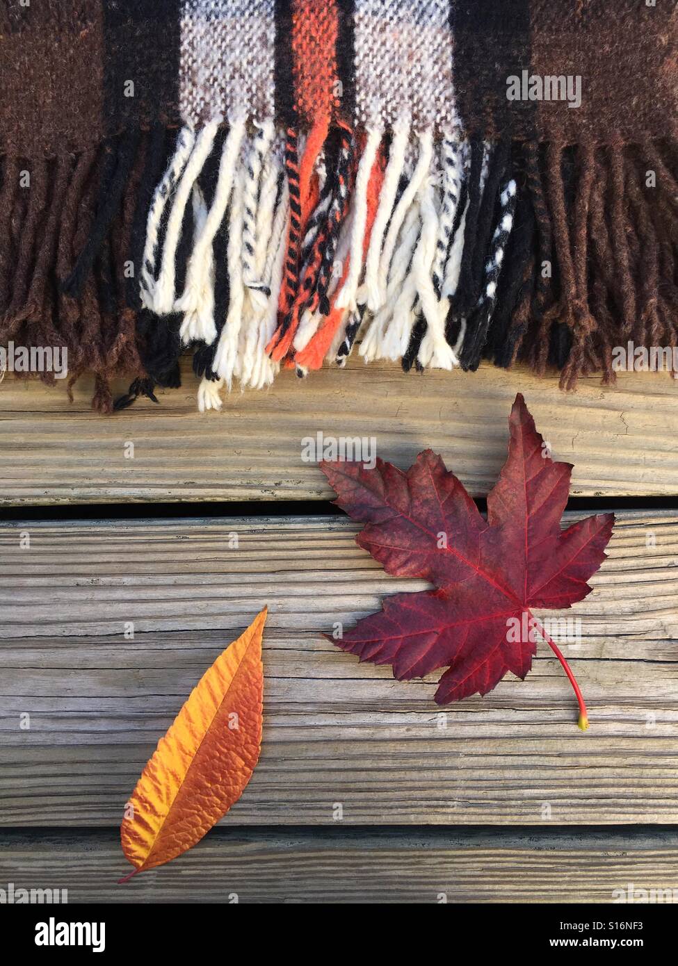 Wool Blanket with Leaves on Wooden Background - Smartphone Captured Stock Image