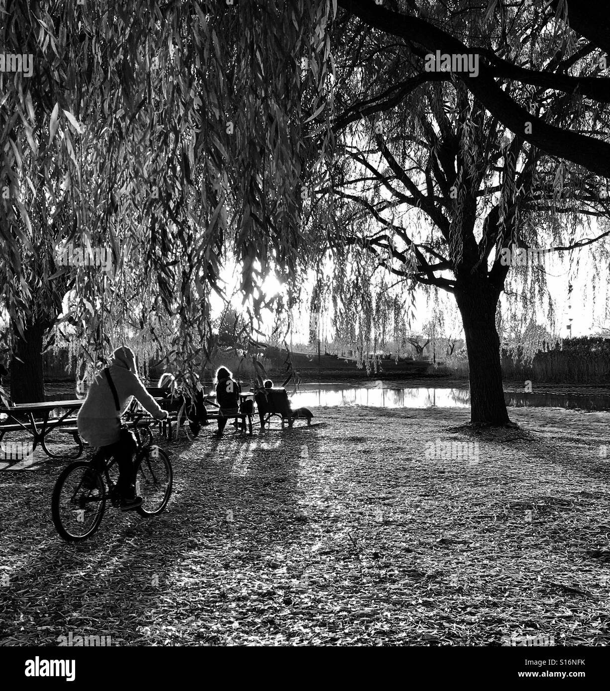 People in a park - Smartphone Captured Stock Image