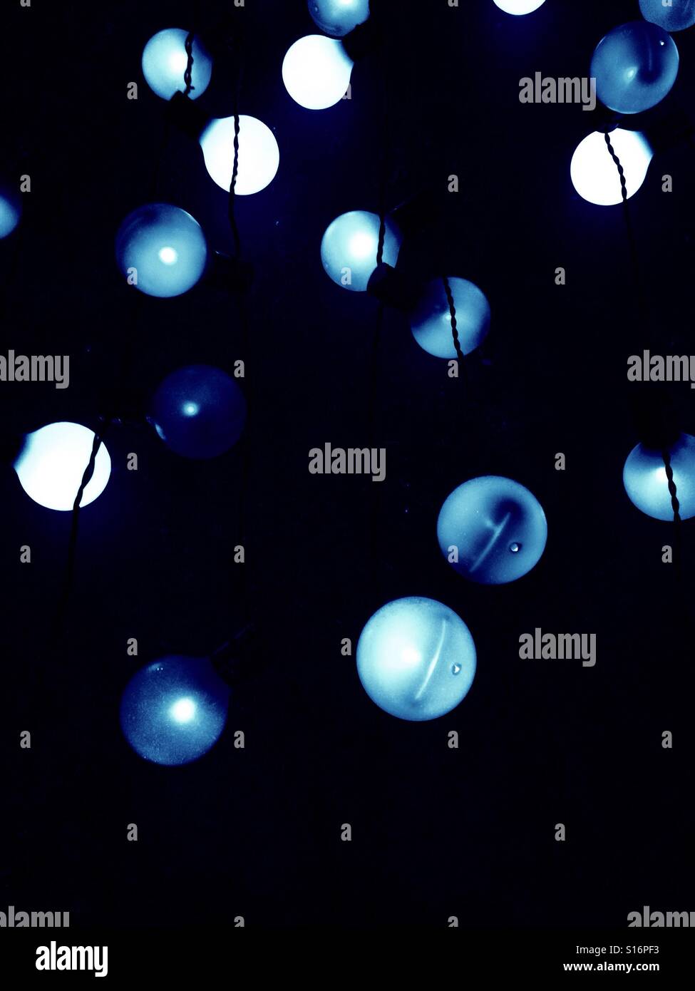 Tree lights - Smartphone Captured Stock Image