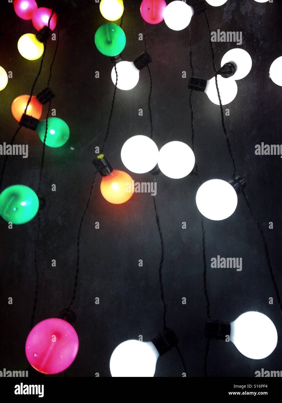 Tree lights - Smartphone Captured Stock Image