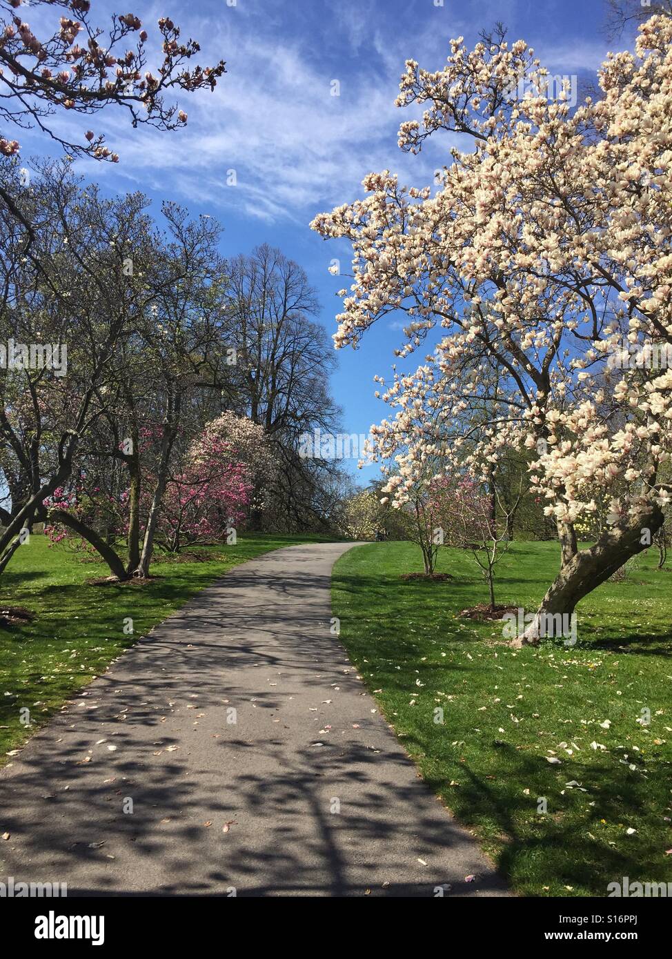 Spring Walk Through Highland Park in Rochester, NY Stock Photo