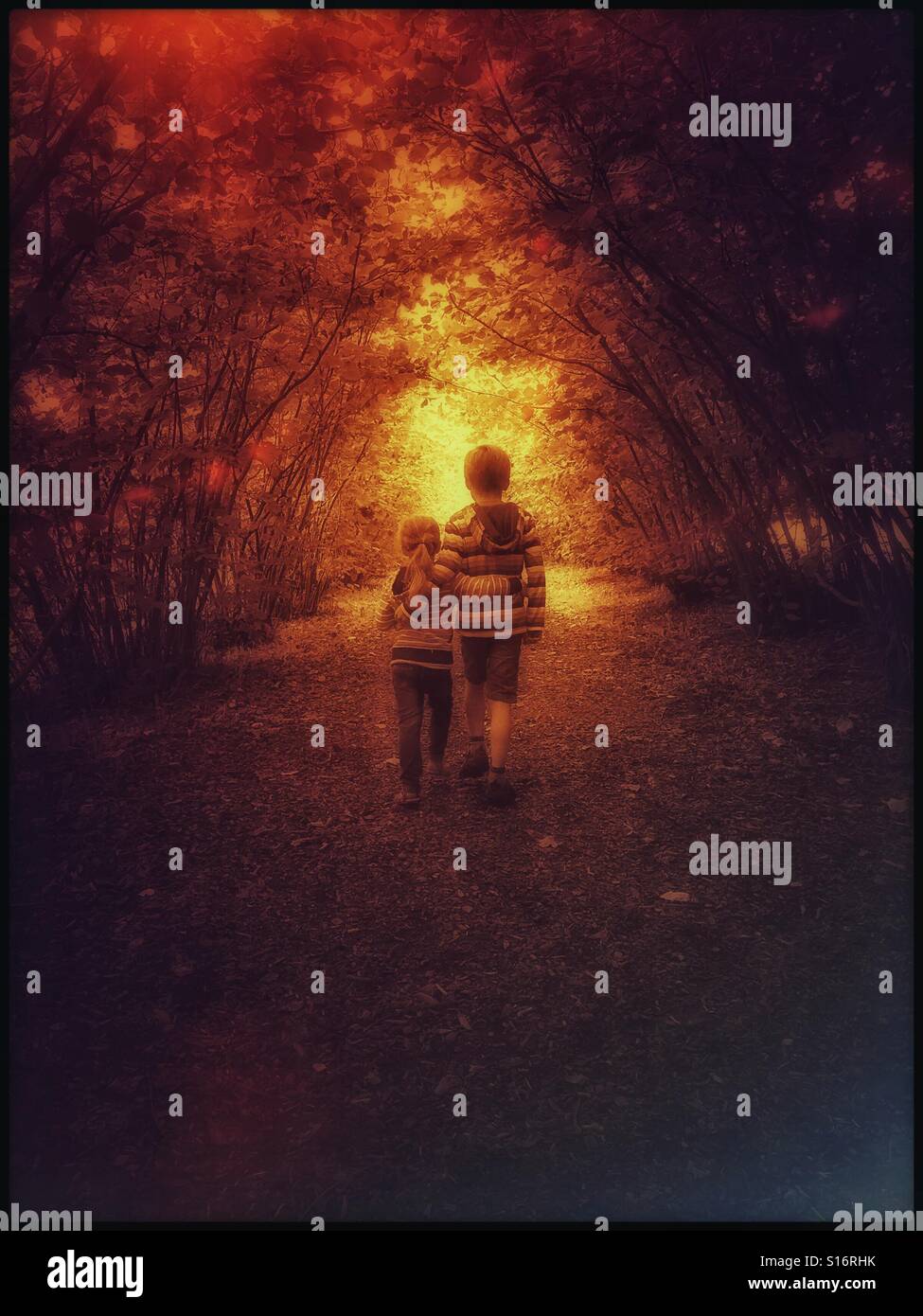 A brother and sister walk arm in arm down a path that creates a tunnel of small trees. A conceptual image used to illustrate sibling unity and happiness. Photo credit - © COLIN HOSKINS. - Smartphone Captured Stock Image