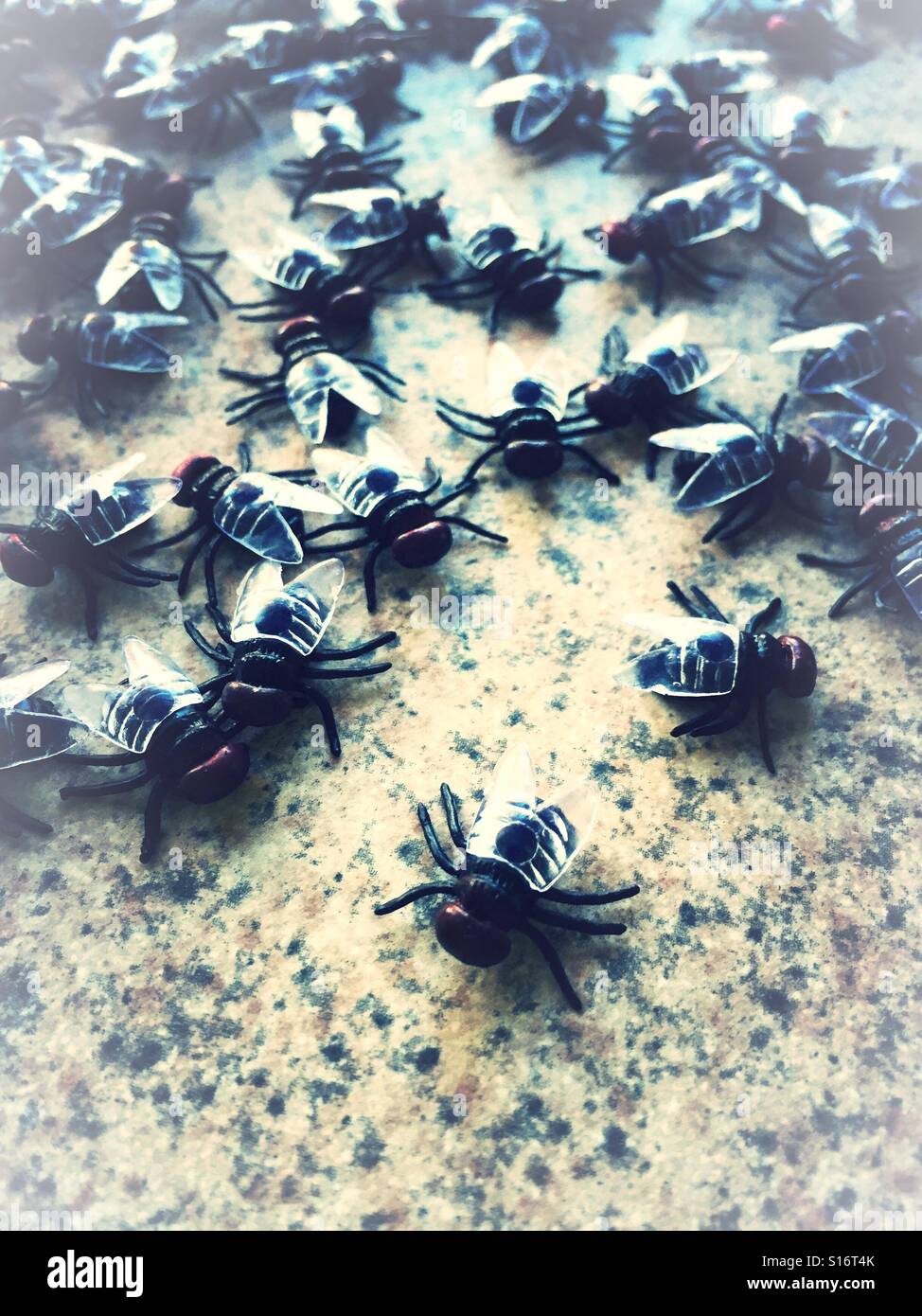 A swarm of house flies on the kitchen counter - Smartphone Captured Stock Image