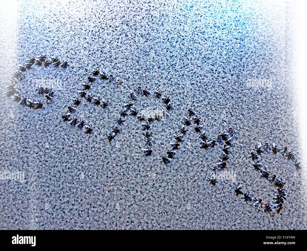 The word germs spelled out in the house flies on the kitchen counter - Smartphone Captured Stock Image