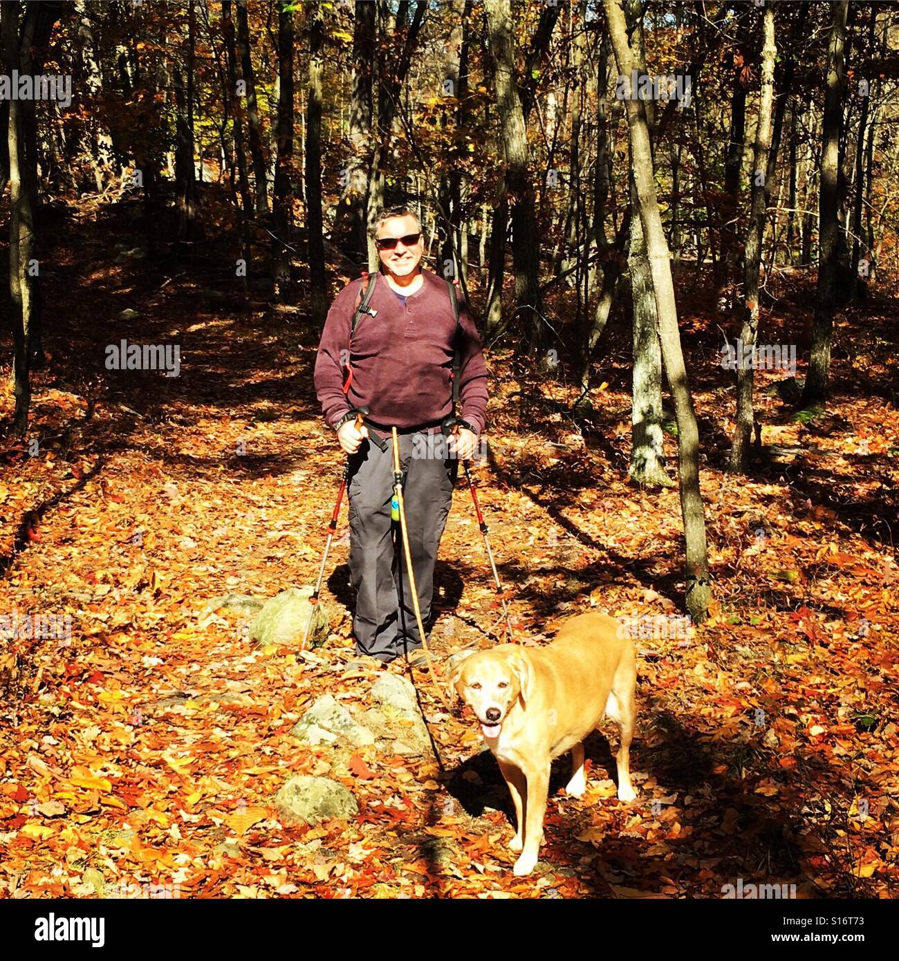 Hiking in the woods with dog hi-res stock photography and images - Alamy