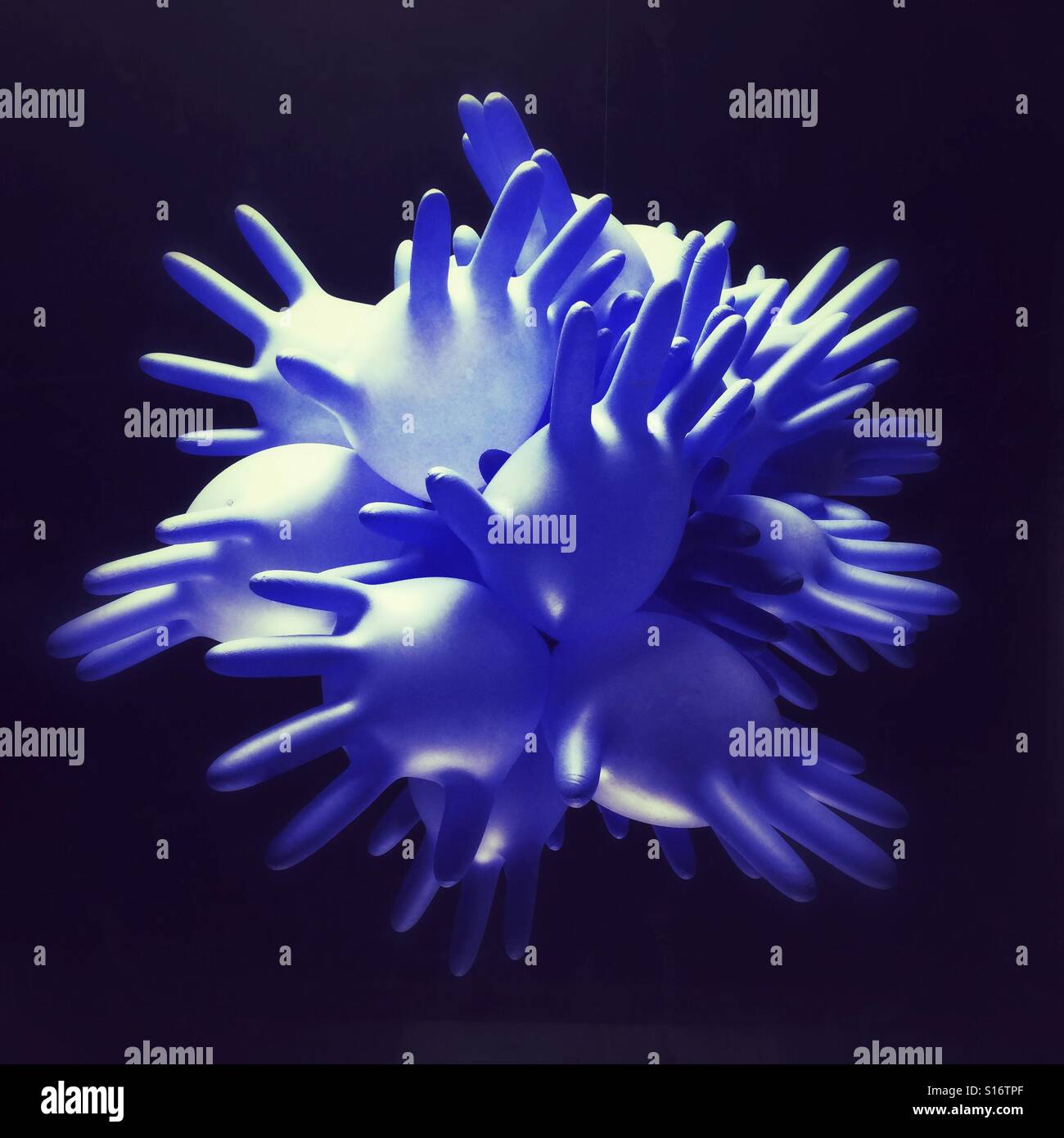 Rubber gloves inflated and tied together. - Smartphone Captured Stock Image