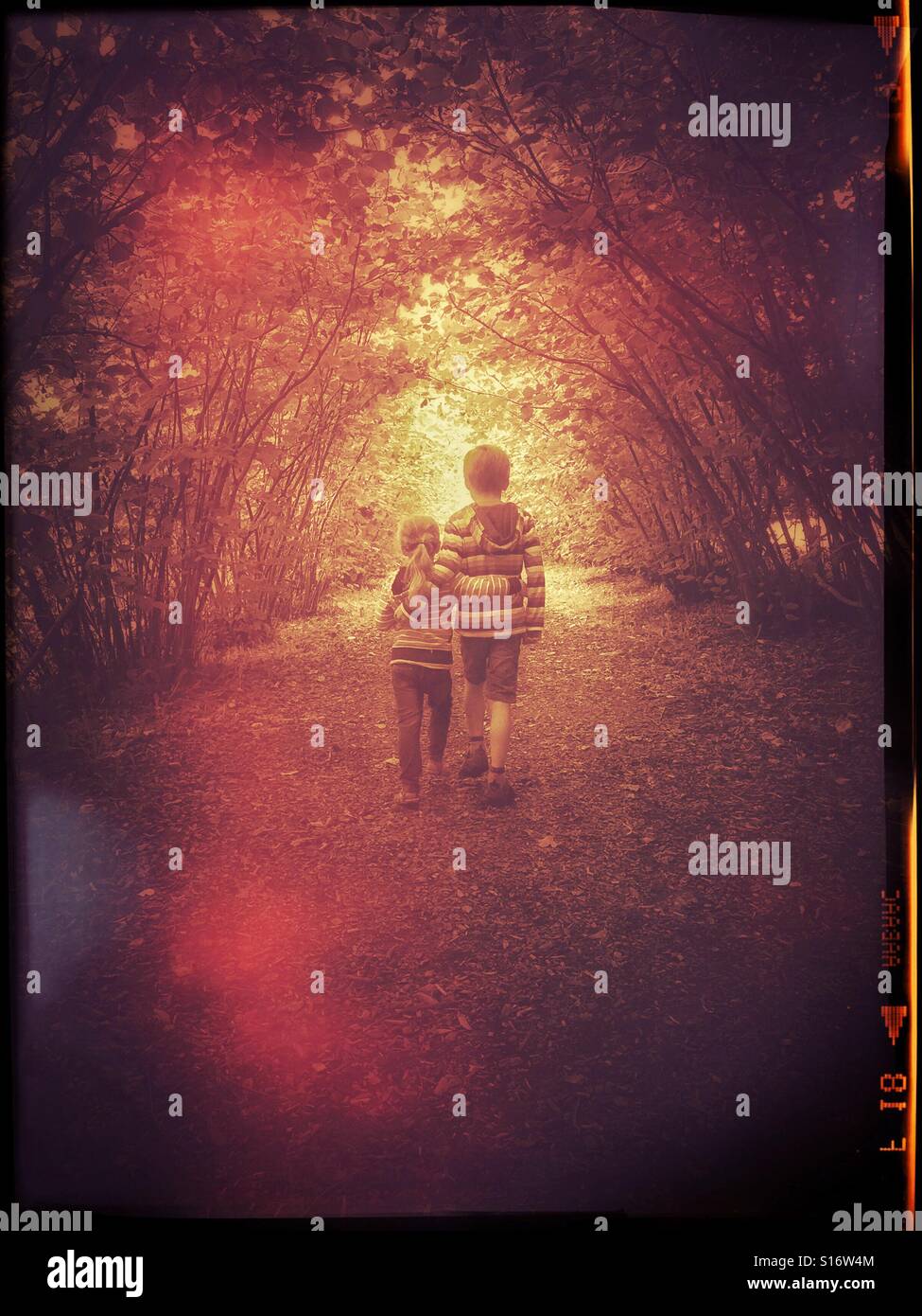 A brother and sister walk arm in arm down a woodland path, travelling towards the light. An image to illustrate sibling love, togetherness and adventure, as well as loneliness. Photo © COLIN HOSKINS. - Smartphone Captured Stock Image