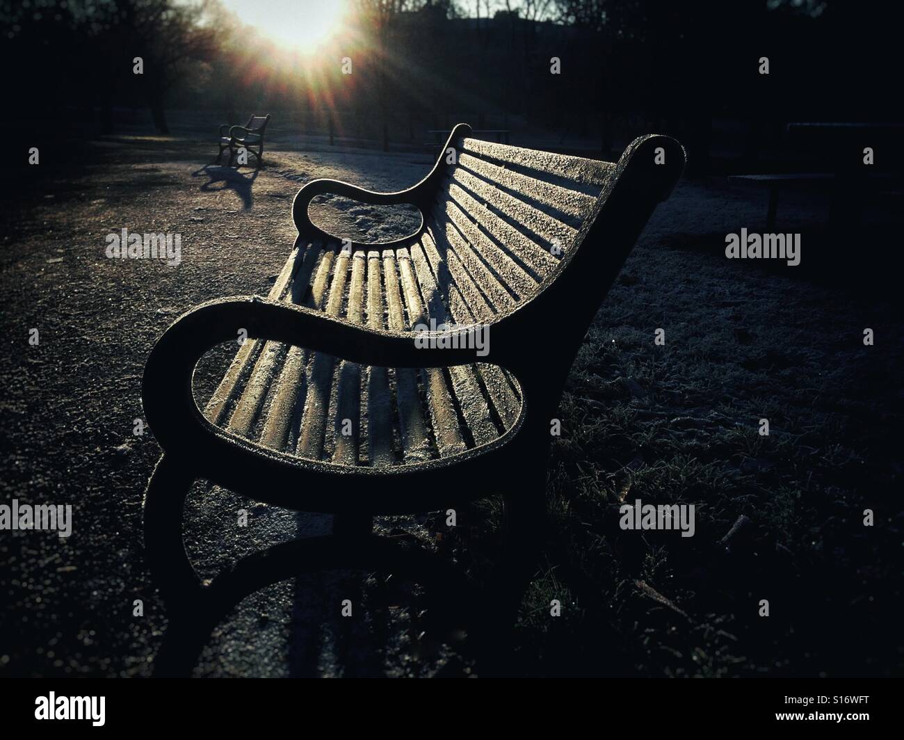 Frosty park bench in winter sun. - Smartphone Captured Stock Image