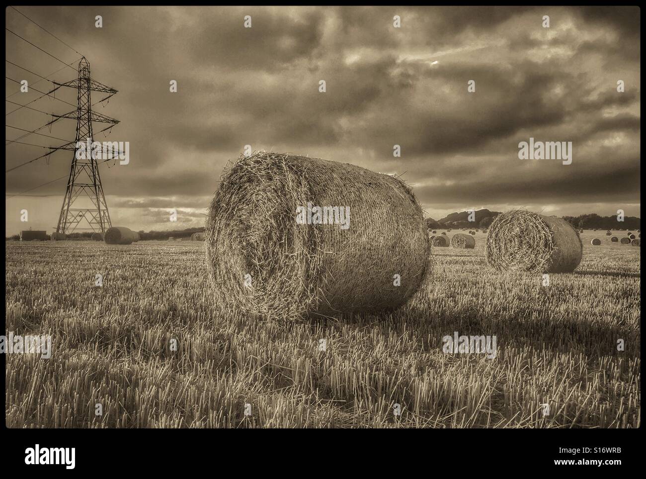 Newly made hay bales are scattered in a large English field next to a large Electricity Supply Pylon. The image has space for copy and cropping. Photo Credit - © COLIN HOSKINS. - Smartphone Captured Stock Image