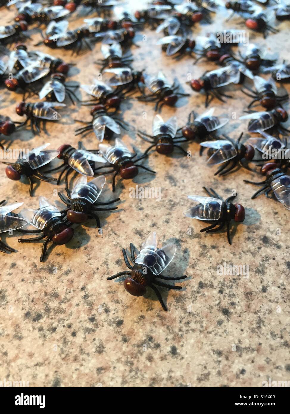 A swarm of house flies on the kitchen counter - Smartphone Captured Stock Image