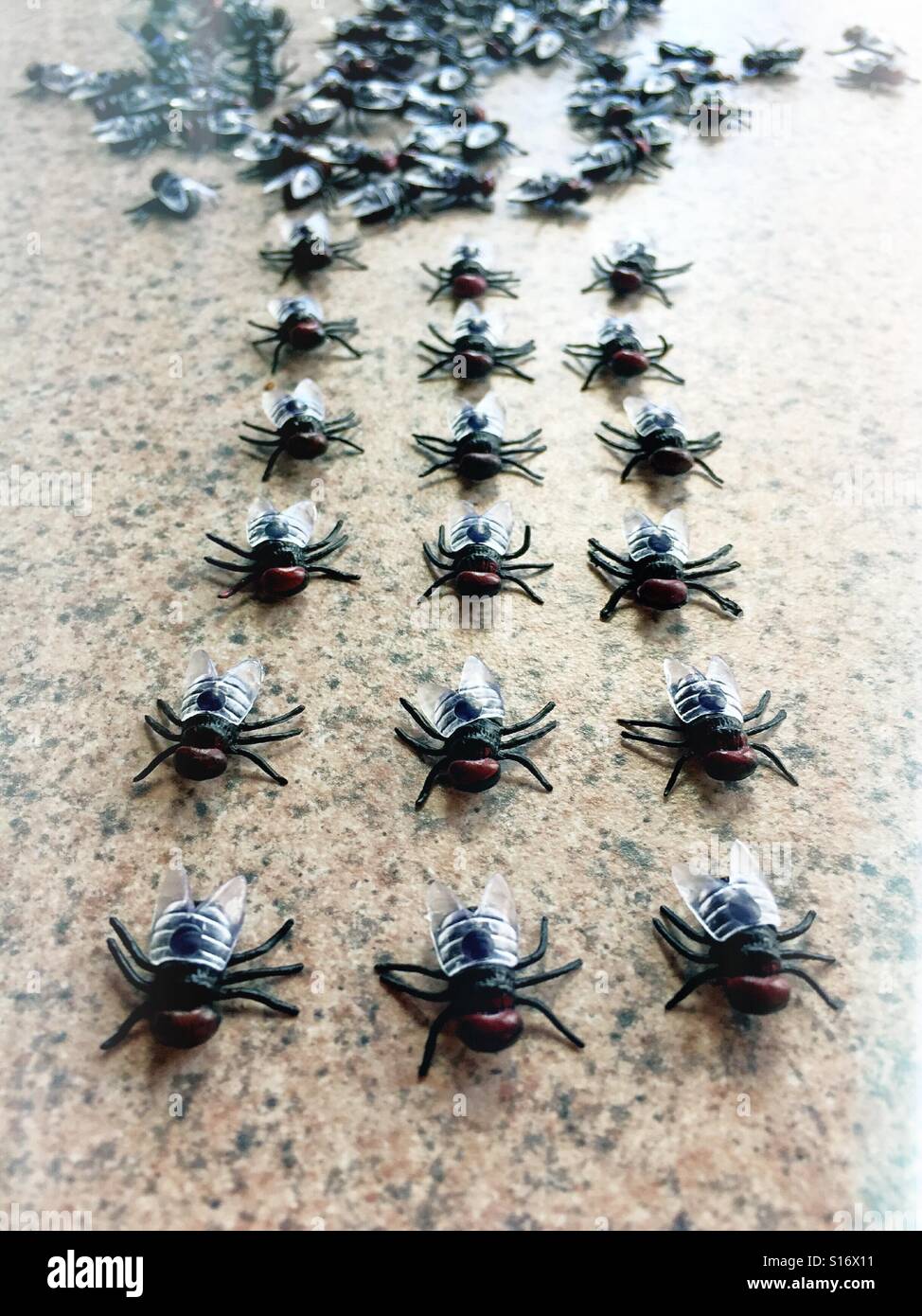 Organized marching houseflies leave the swarm in a formation - Smartphone Captured Stock Image