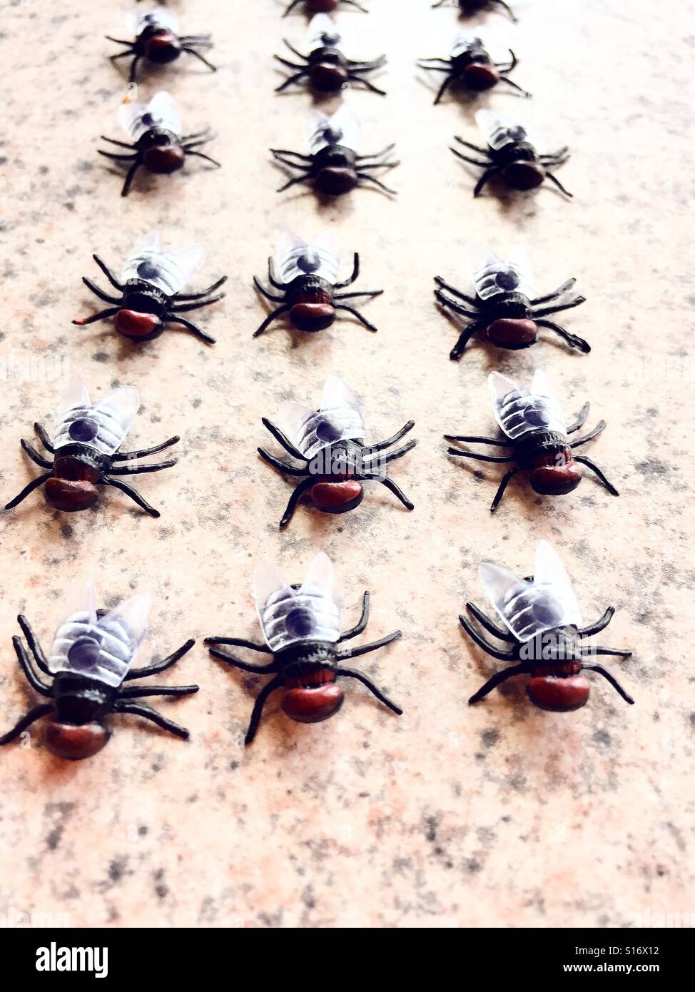 A marching formation of house flies. - Smartphone Captured Stock Image