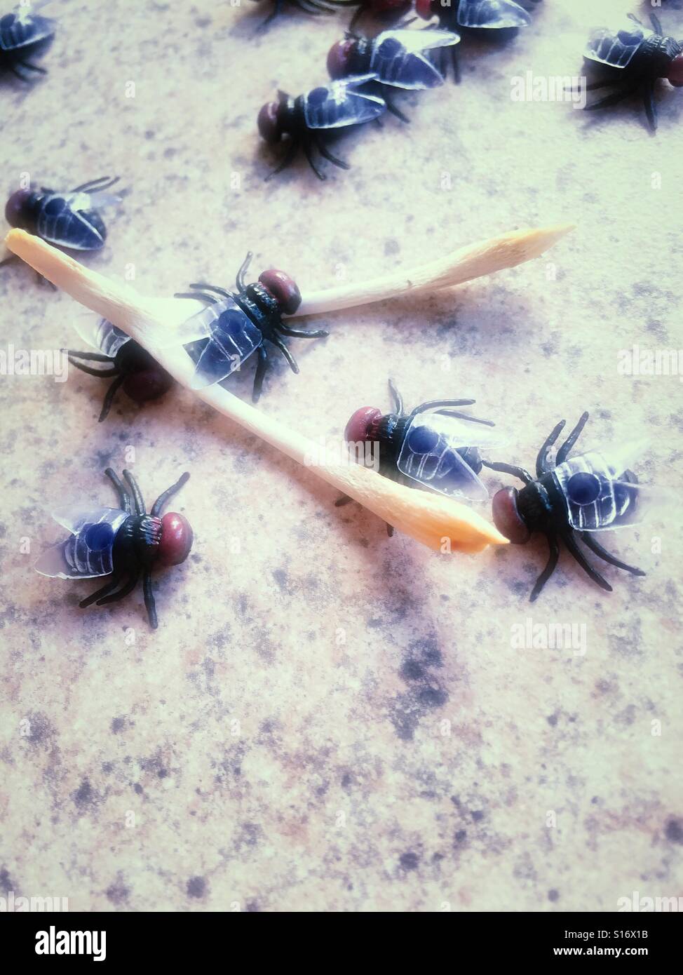 Houseflies swarm around a chicken wishbone picked clean - Smartphone Captured Stock Image