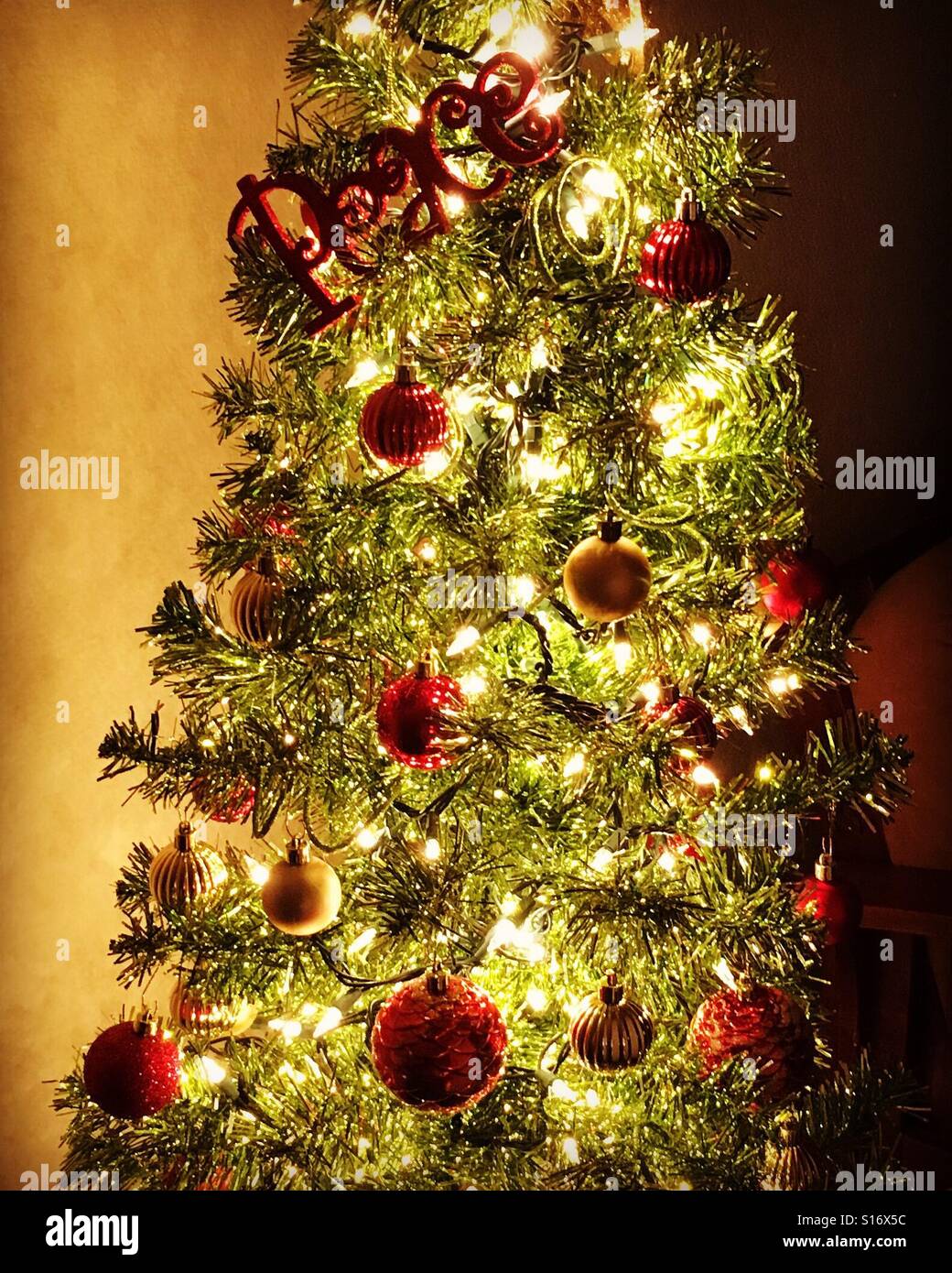Annual lighting of the Christmas peace tree ? Stock Photo