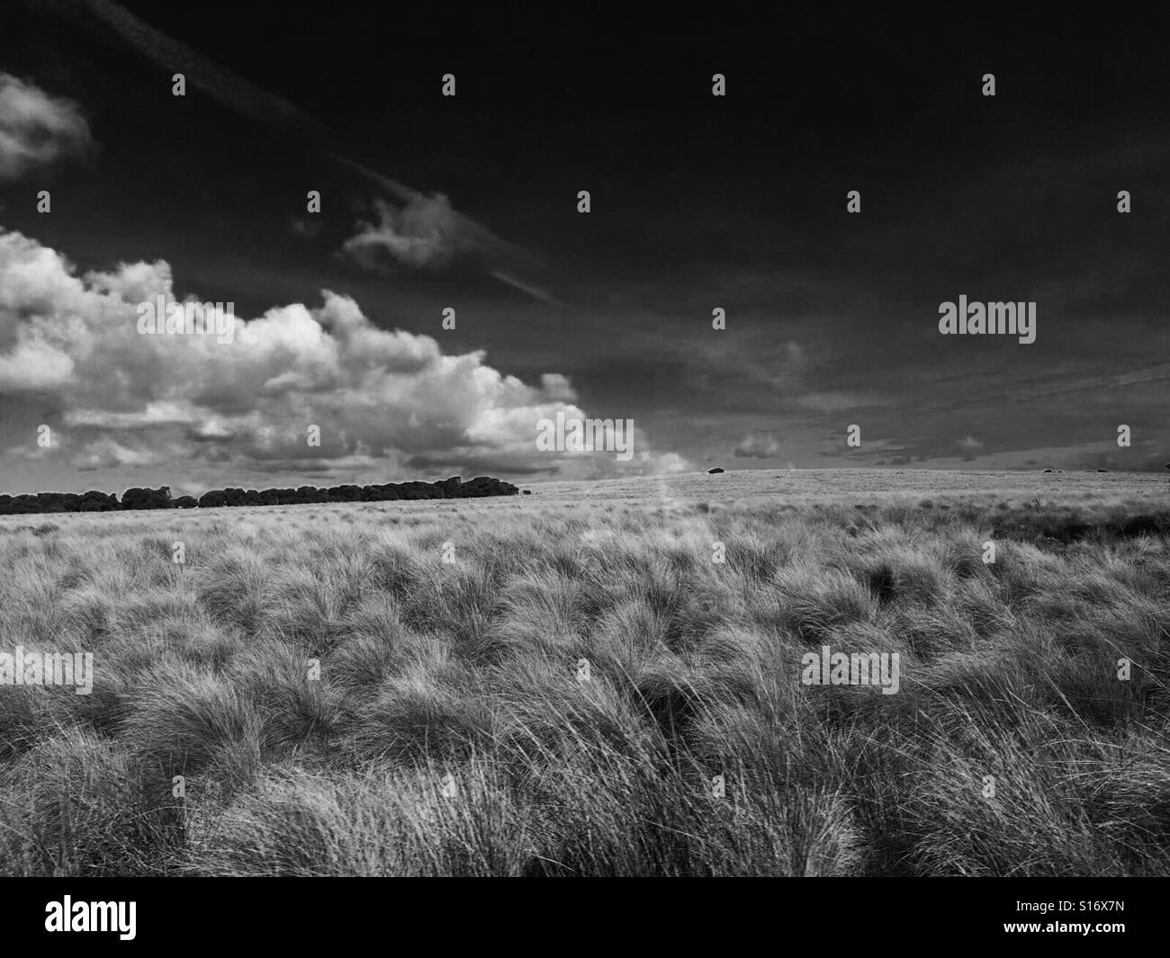No man's land Stock Photo Alamy