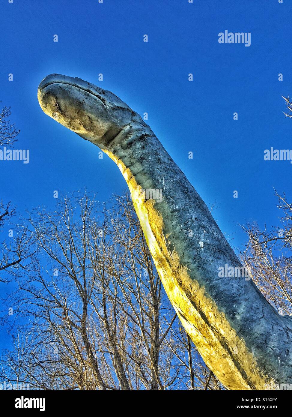 Prehistoric park, Brontosaurus, Calgary, Alberta - Smartphone Captured Stock Image