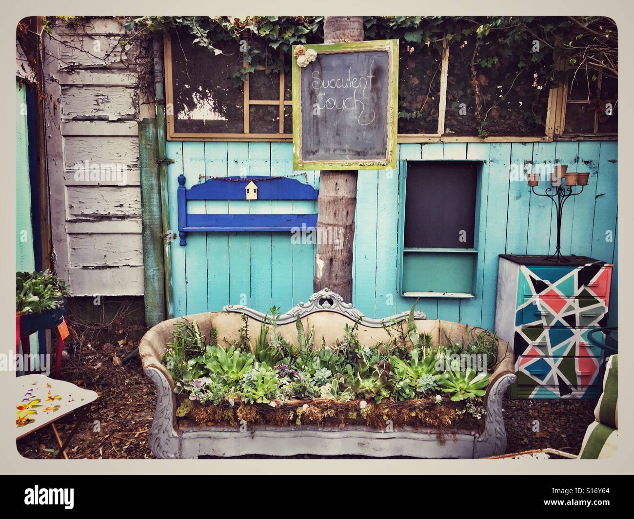 Plants Growing in a Couch Vintage House Garden located in the Cedros Avenue Design District Solana Beach California Stock Photo