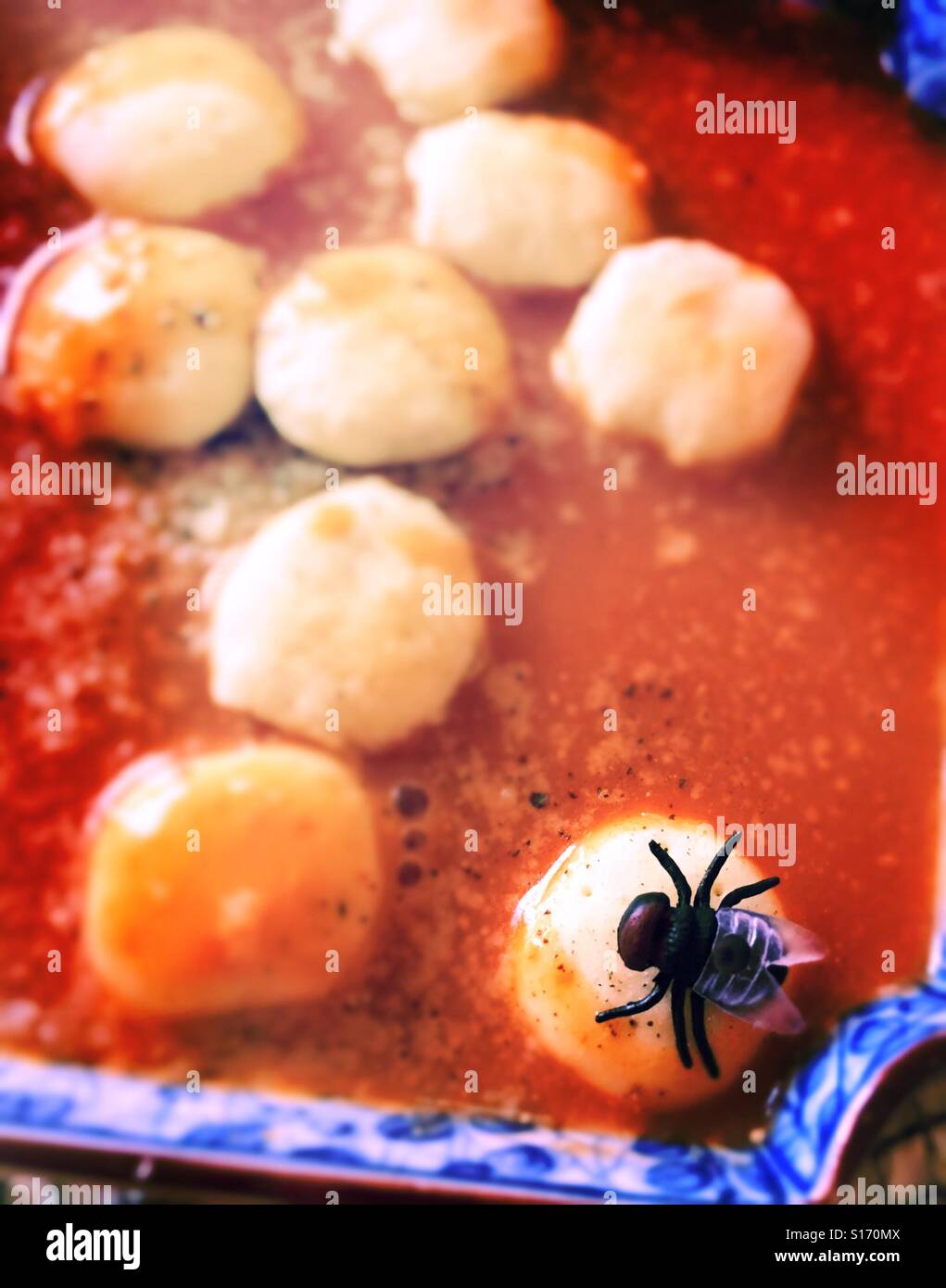 housefly sits on an oyster cracker in a bowl of tomato soup - Smartphone Captured Stock Image