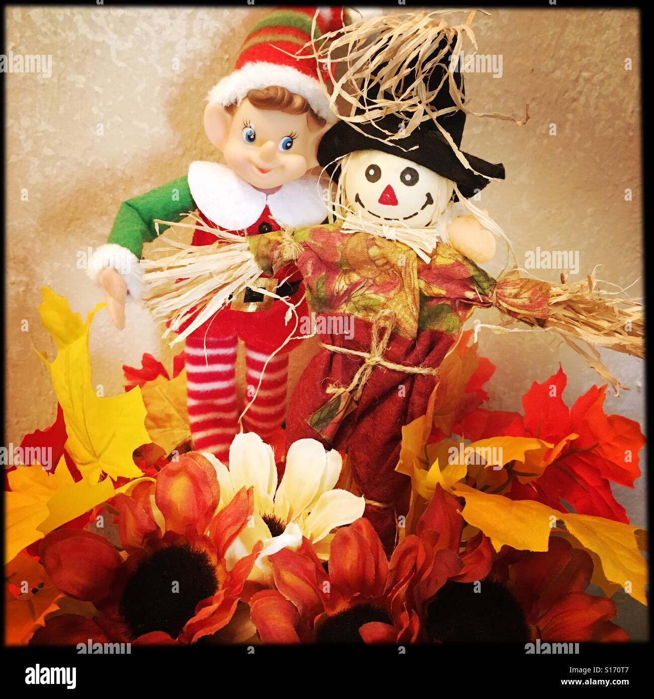 Mr Scarecrow and Mr Elf share a moment before trading holiday duties. - Smartphone Captured Stock Image
