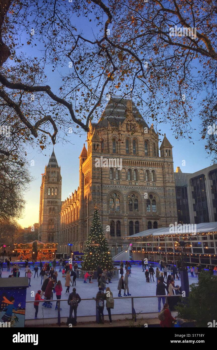 National History Museum ice rink in London Stock Photo Alamy
