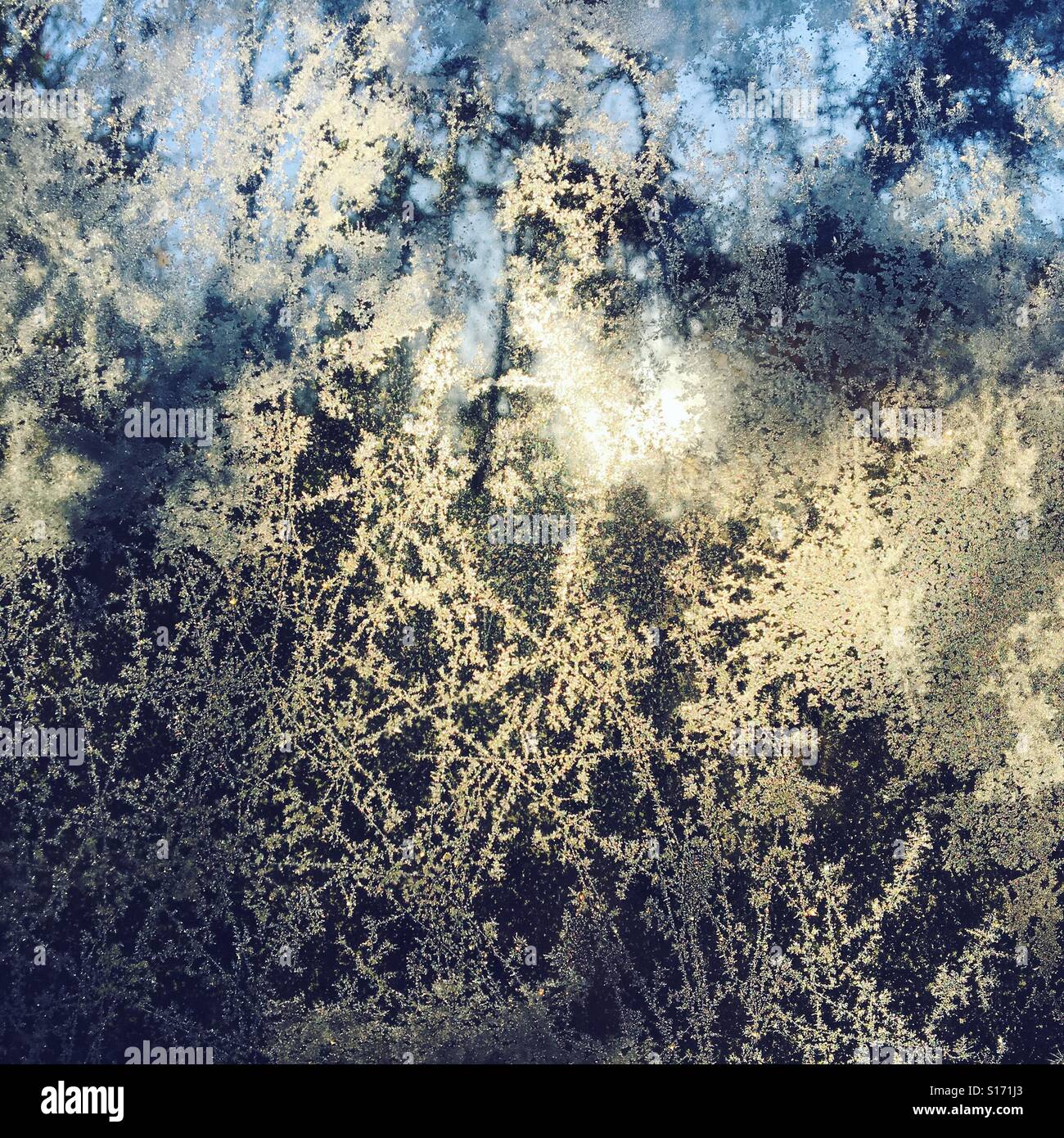 Frost on a window - Smartphone Captured Stock Image