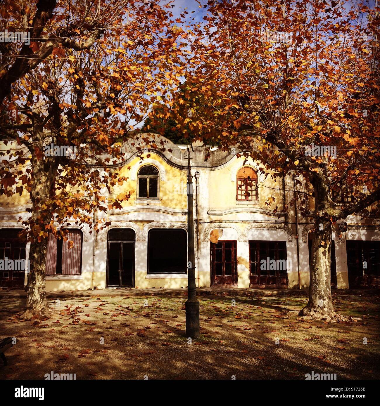 Fall in the park - Smartphone Captured Stock Image
