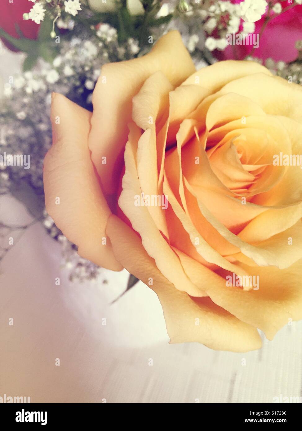 Close-up detail of yellow roses and babies breath bouquet - Smartphone Captured Stock Image