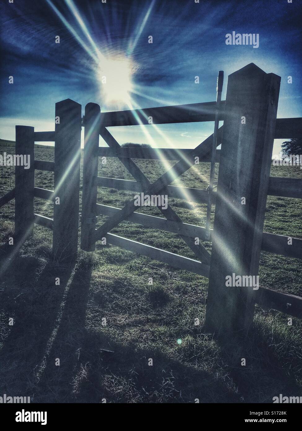 Field gate with low winter sun on a frosty day in November - Smartphone Captured Stock Image