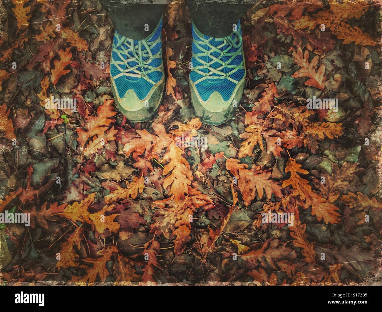 A pair of hiking shoes standing on wet autumn leaves - Smartphone Captured Stock Image
