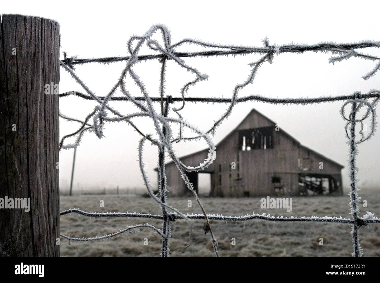 Hoarfrost clings to a wire fence on a cold morning on a farm. A barn is in the background - Smartphone Captured Stock Image