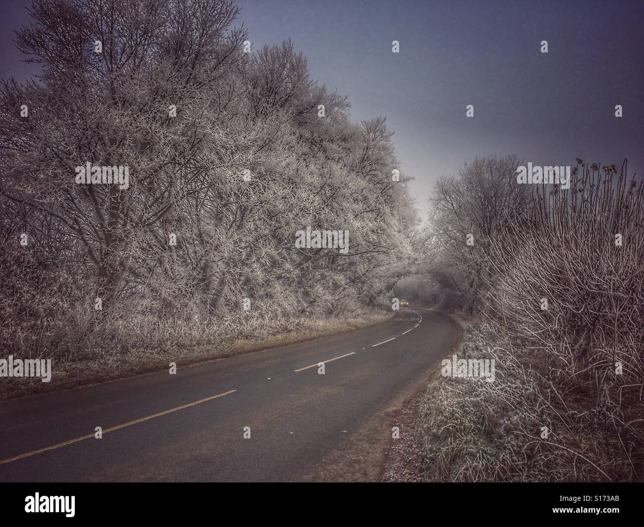 Road in winter - Smartphone Captured Stock Image
