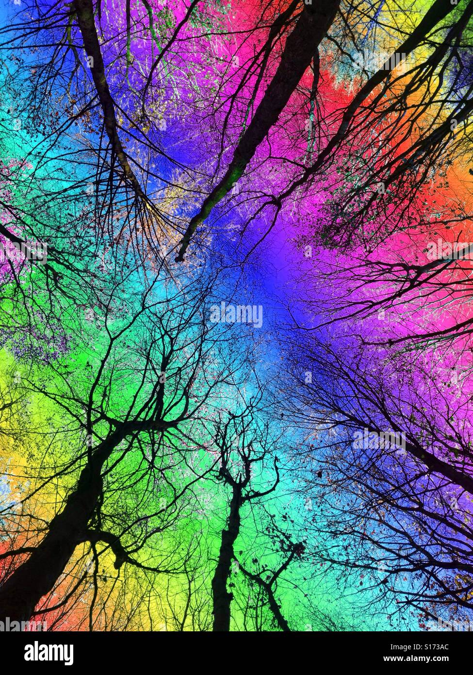 Tree overlay hi-res stock photography and images - Alamy