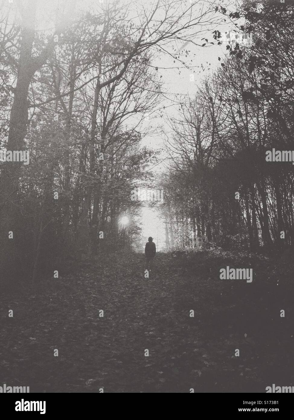 Lone man in woods - Smartphone Captured Stock Image