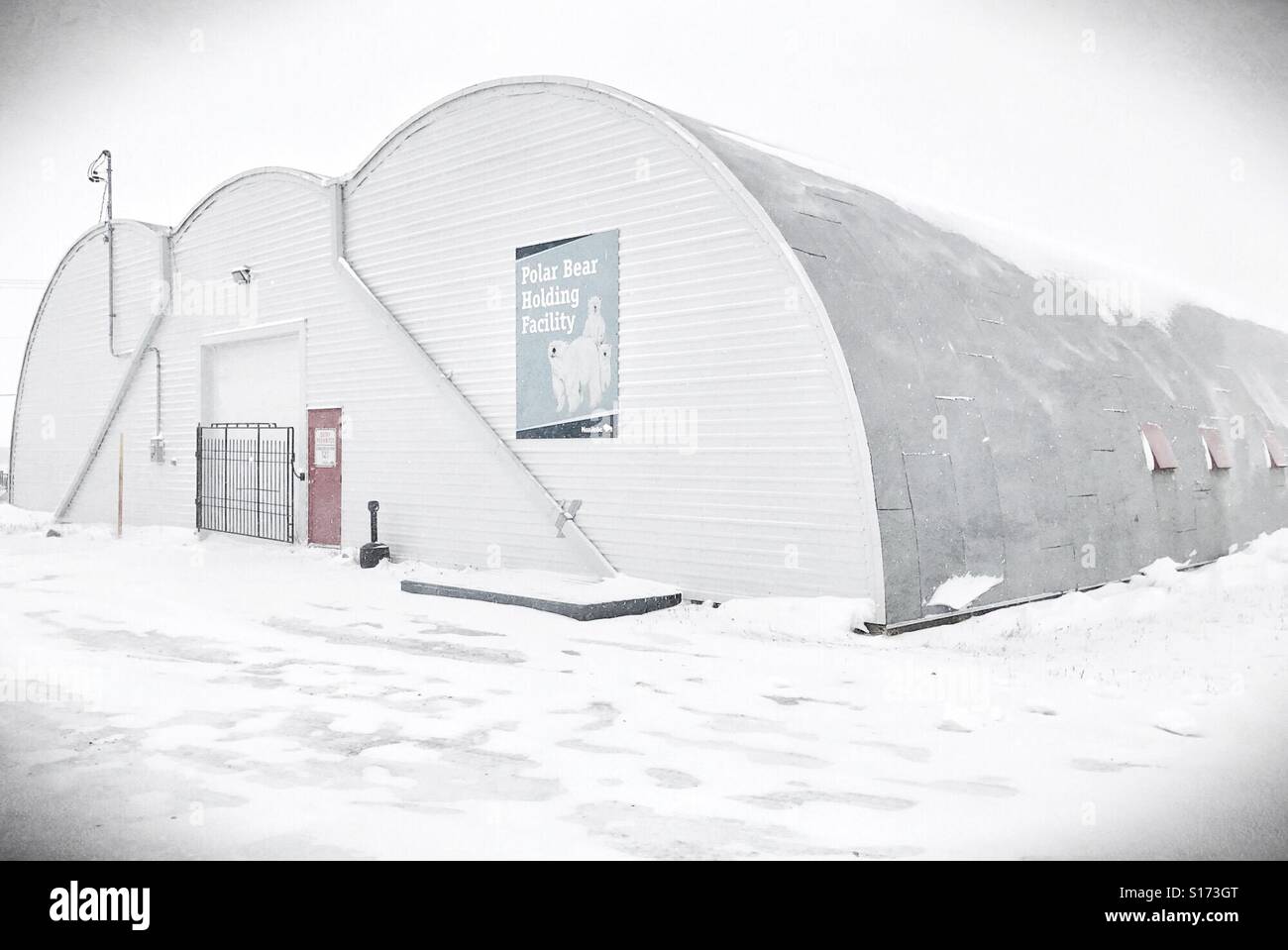 The Polar Bear Holding Facility, aka bear jail, in Churchill, Canada. - Smartphone Captured Stock Image