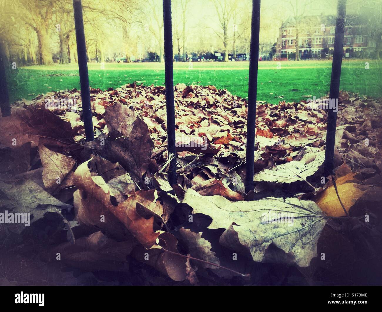 Fallen leaves through park railings in Islington, North London, Highbury Fields - Smartphone Captured Stock Image