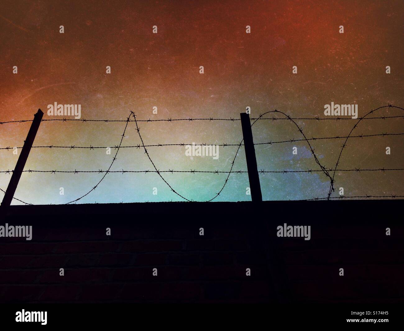 Barbed wire - Smartphone Captured Stock Image