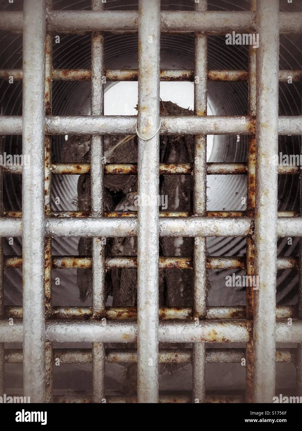 Seal-oil-soaked canvas hangs inside a polar bear trap. - Smartphone Captured Stock Image