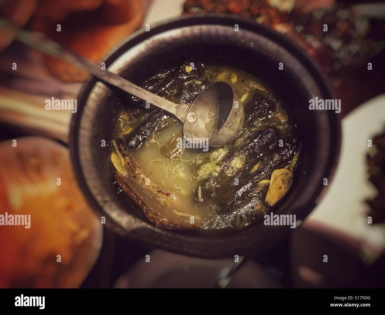 Stuffed grape leaves with meat - Smartphone Captured Stock Image