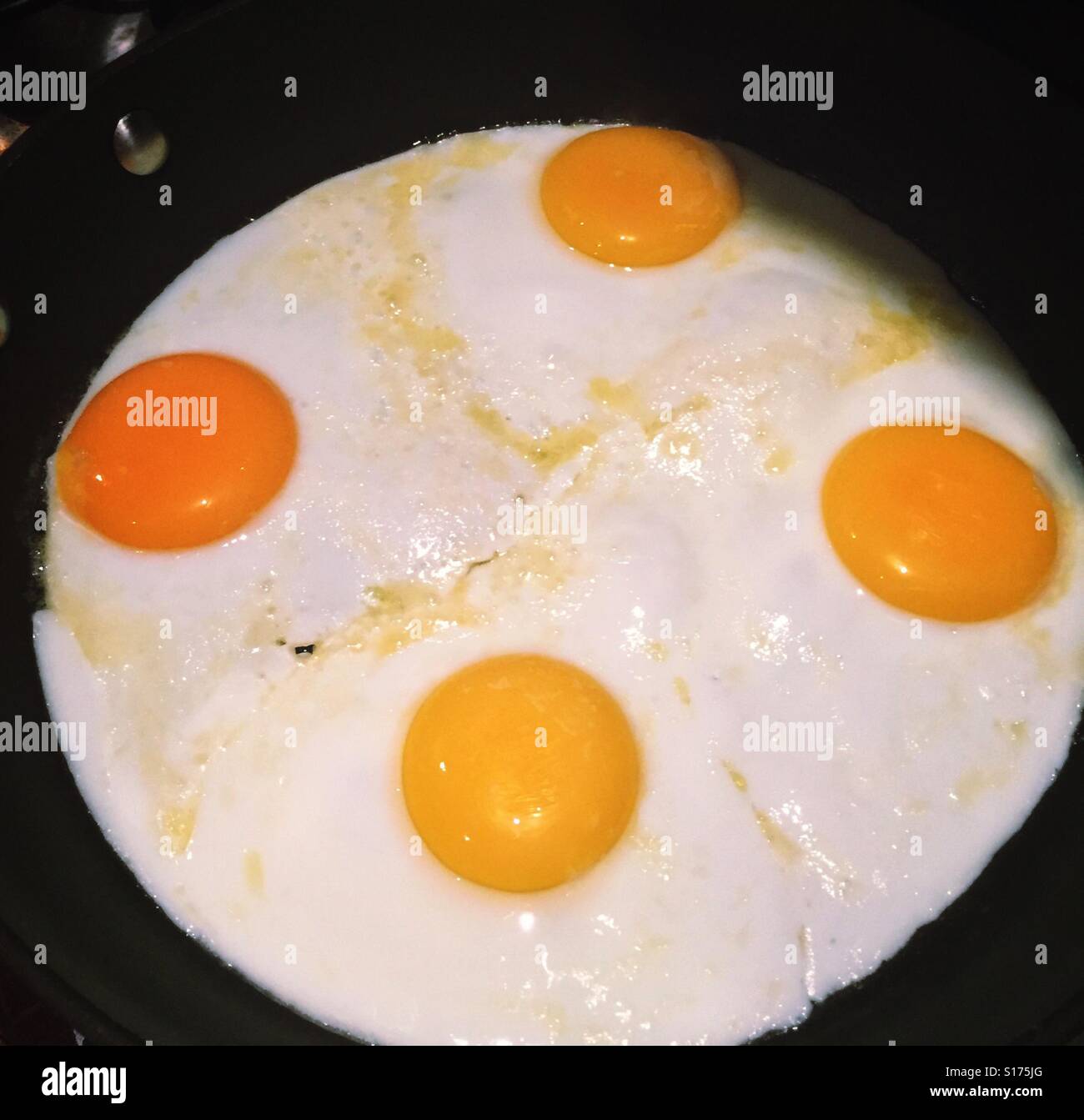 Four over easy eggs are cooking in a stovetop skillet. Stock Photo