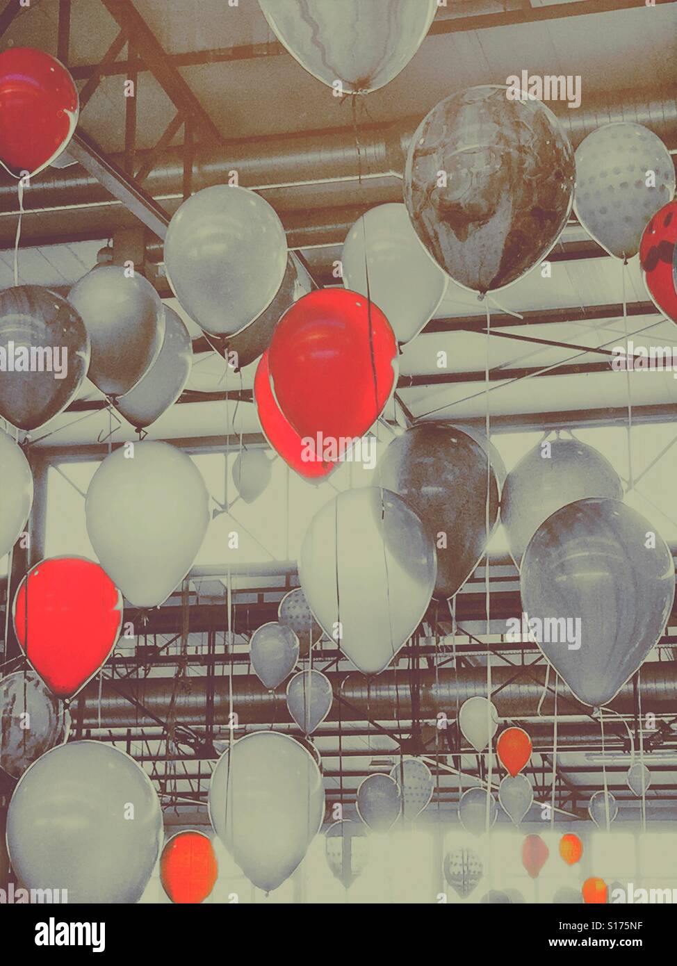 Party balloons - Smartphone Captured Stock Image