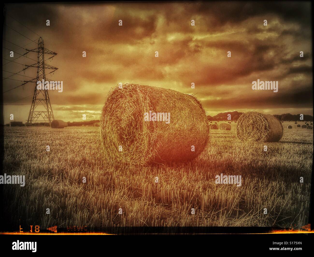 A large hay bale sits in an open field in the Cotswold area of England. The field has a large number of newly made hay-bales awaiting collection & use for feeding livestock. © COLIN HOSKINS. - Smartphone Captured Stock Image