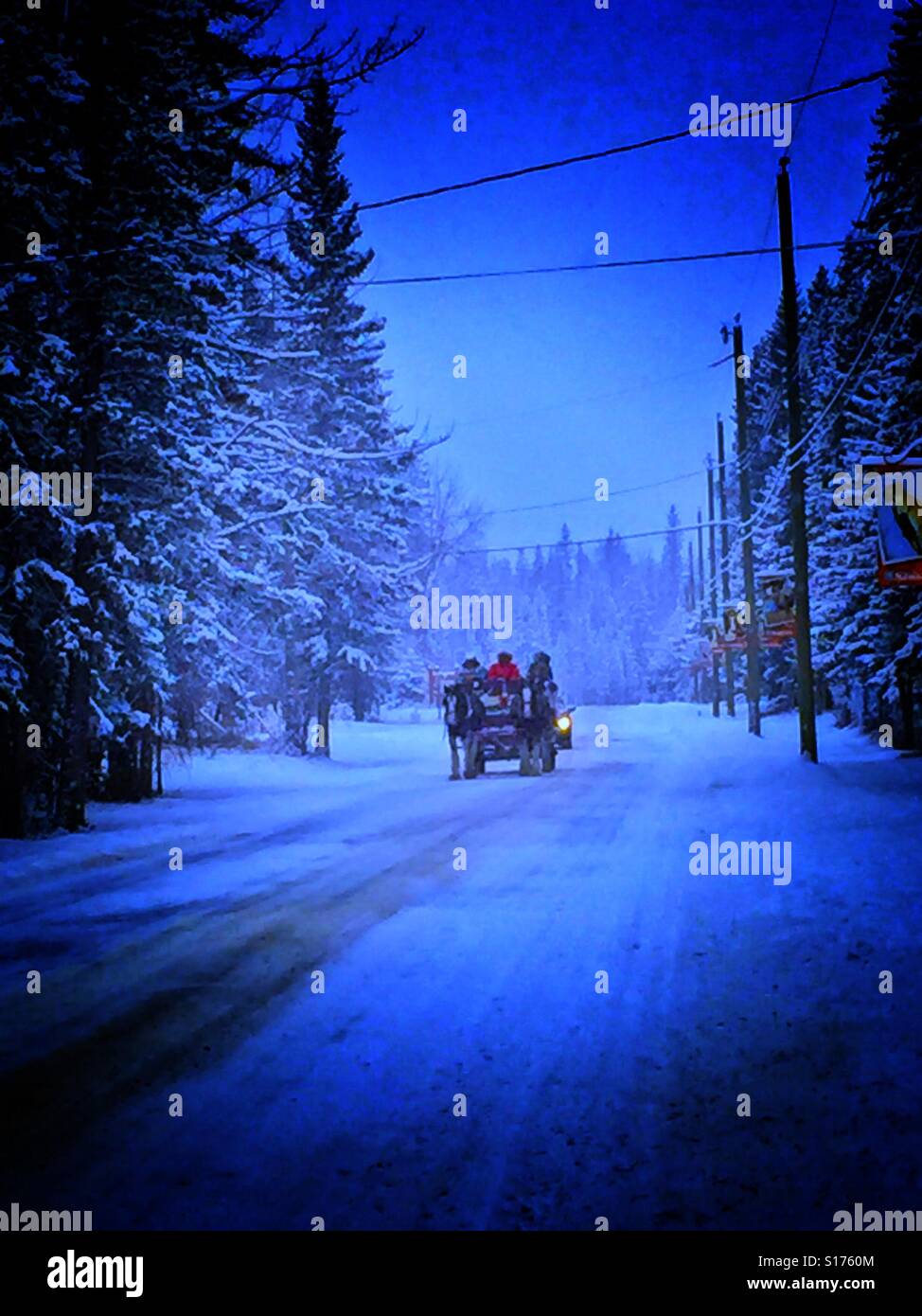 Family fun with horse drawn wagon ride in winter - Smartphone Captured Stock Image