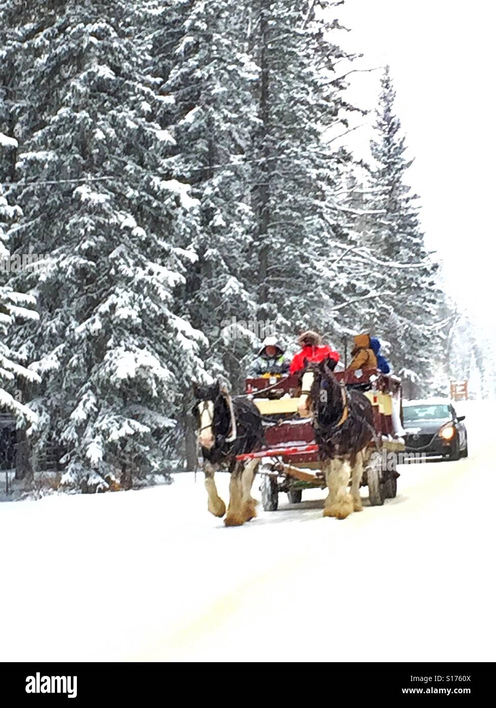 Family fun with horse drawn wagon ride in winter - Smartphone Captured Stock Image