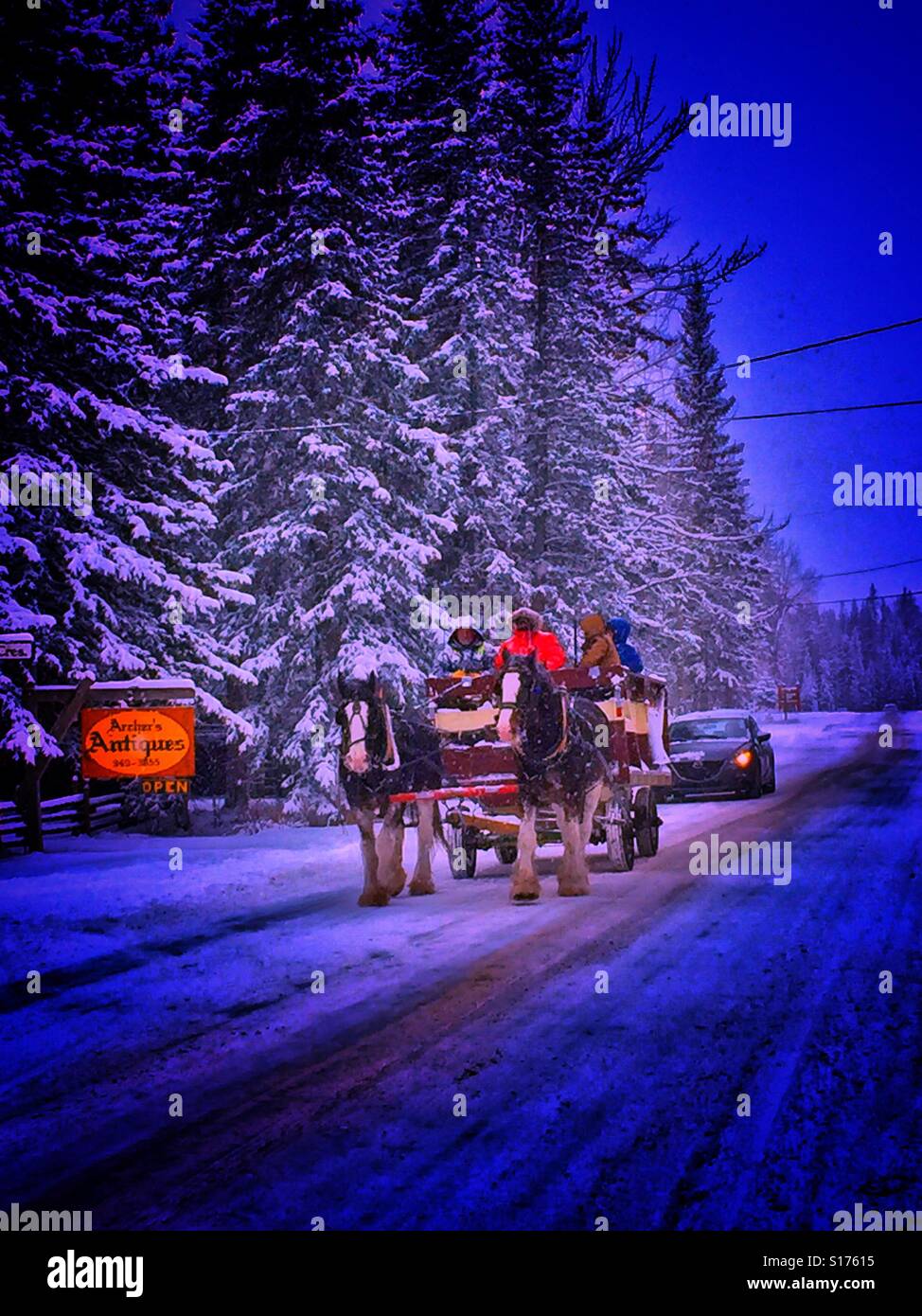 Family fun with horse drawn wagon ride in winter - Smartphone Captured Stock Image