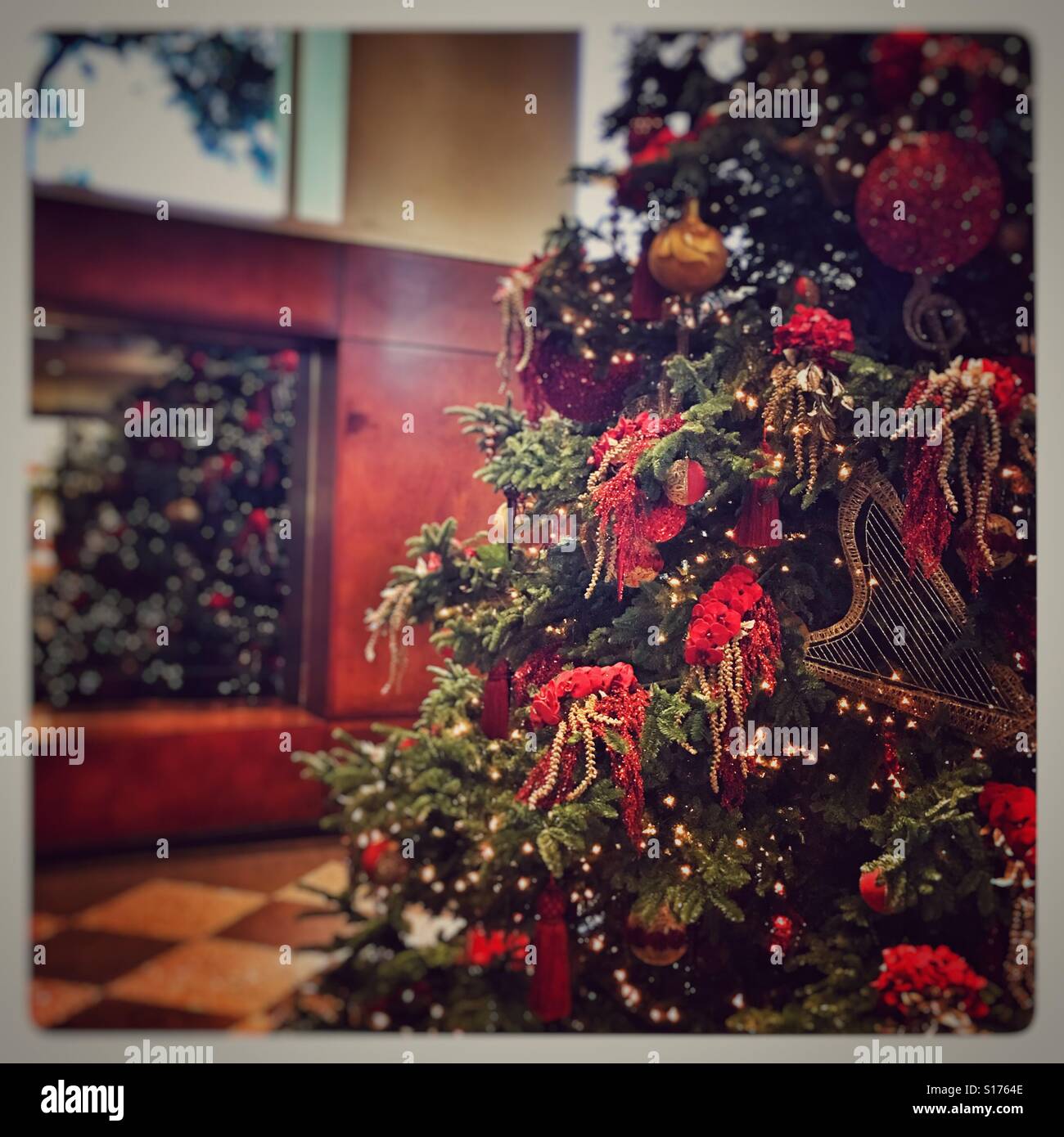 Checker tree hires stock photography and images Alamy